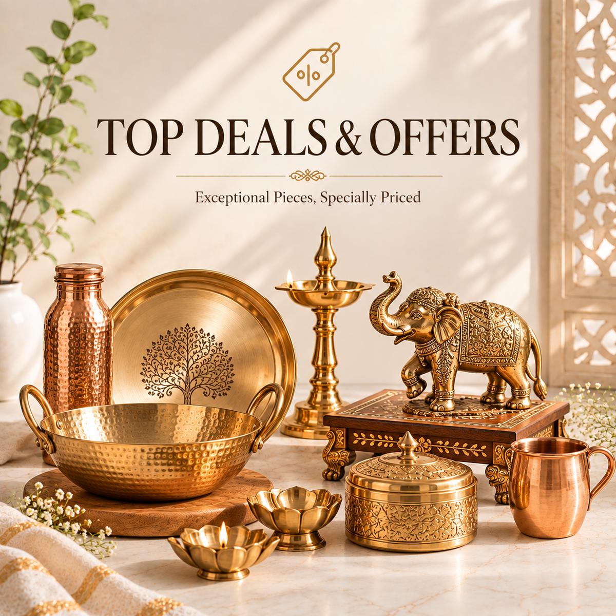 Top Deals & Offers